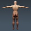 human male body digestive 3d model