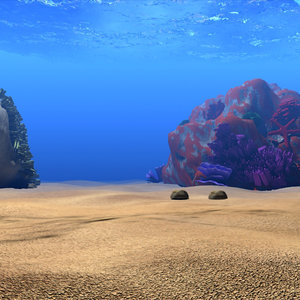 coral scene 3d model