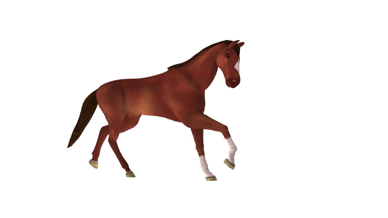 horse animations 3d model