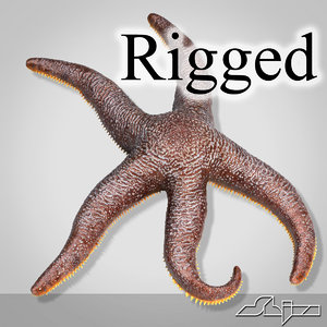 3d model starfish rigged star
