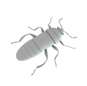 chinch bug insect 3d obj