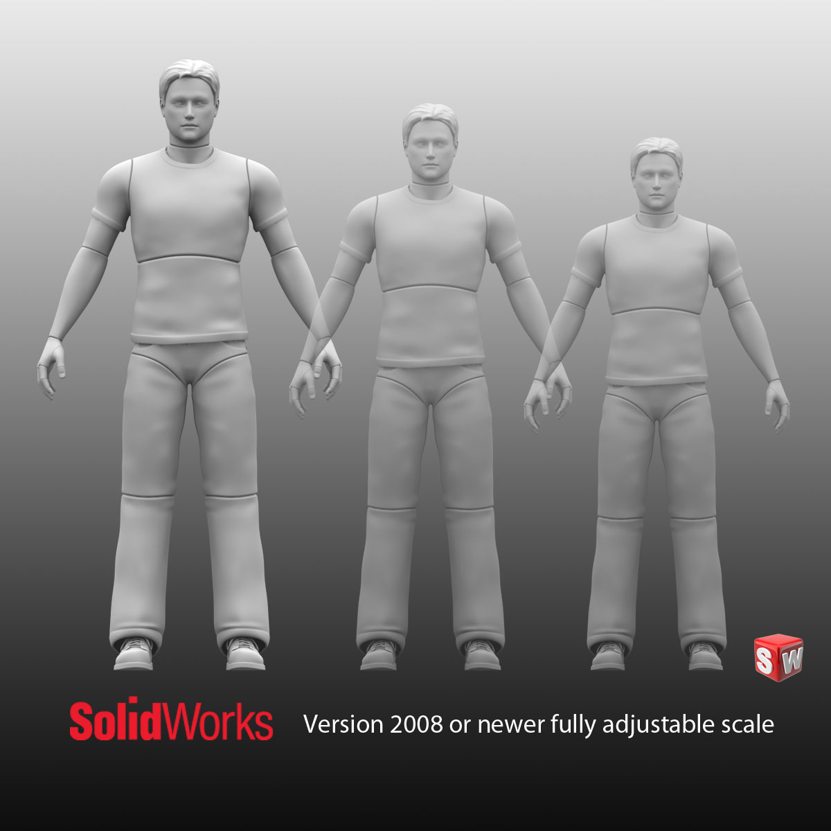 solidworks human model download