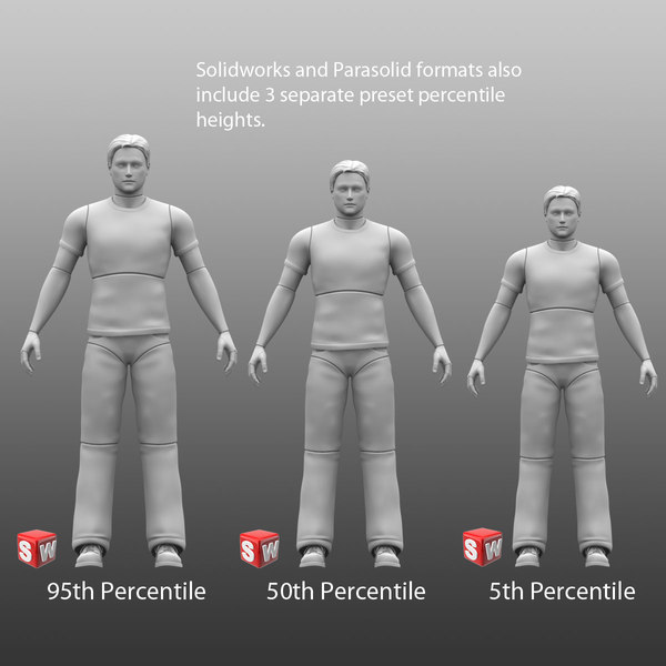 3d Poseable Male Solidworks Cad