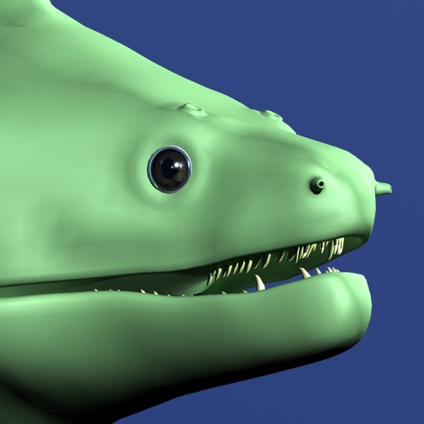 moray 3d model