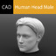 male human head solidworks 3dm