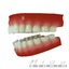 realistic human teeth gums 3ds