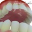 realistic human teeth gums 3ds