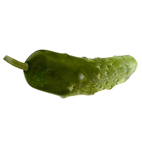 3d cucumber model