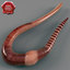 earthworm modelled 3d max