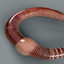 earthworm modelled 3d max