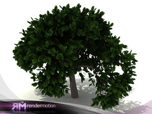 3d max tree