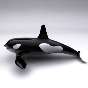 3d orca whale model