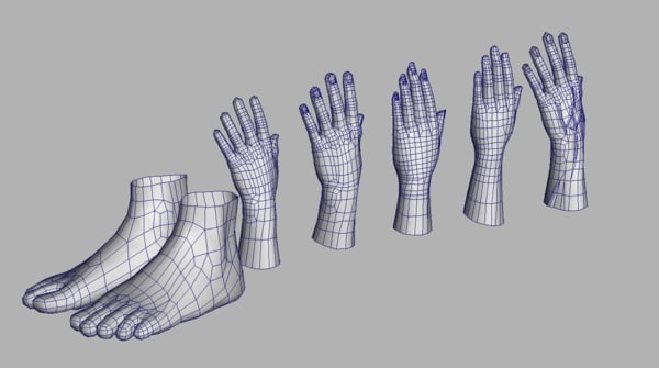 Free Human Hands Feet Foot 3d Model