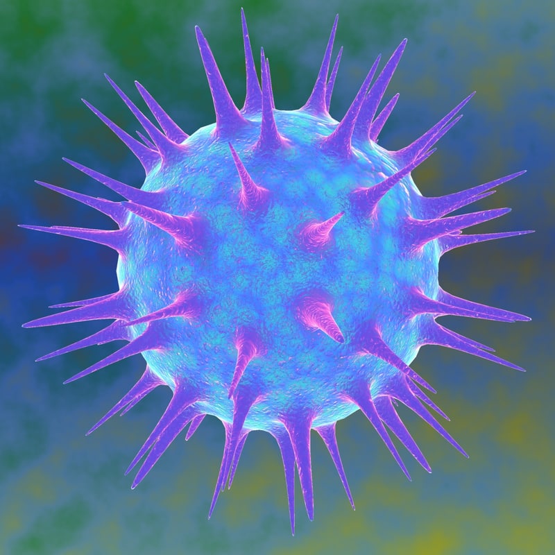 3d virus model