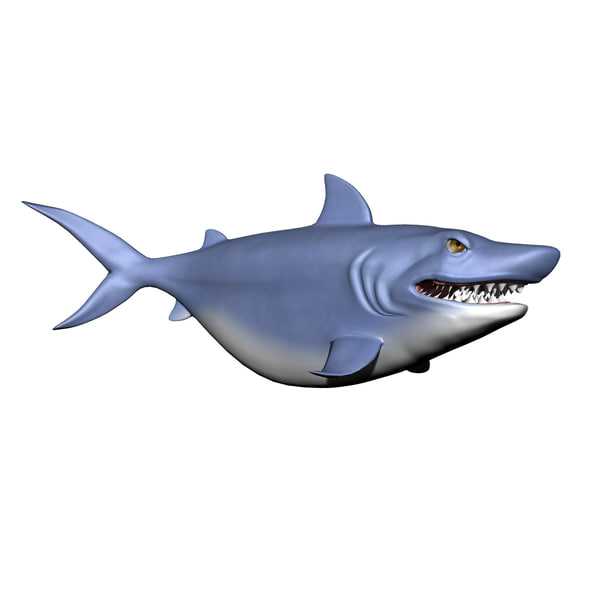サメのキャラクター3dモデル Turbosquid