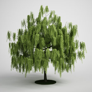 3ds max white willow