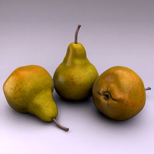 3d model of pear
