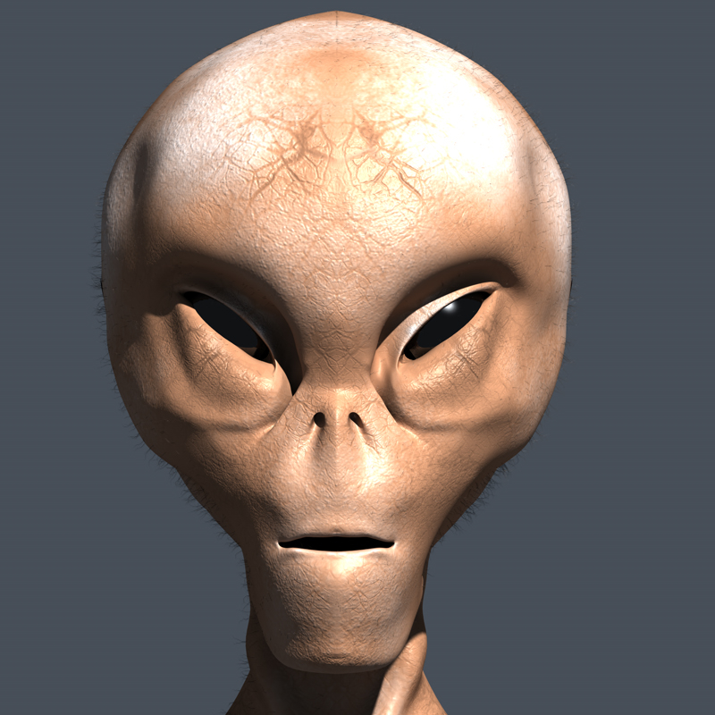 Alien Head 3d Model