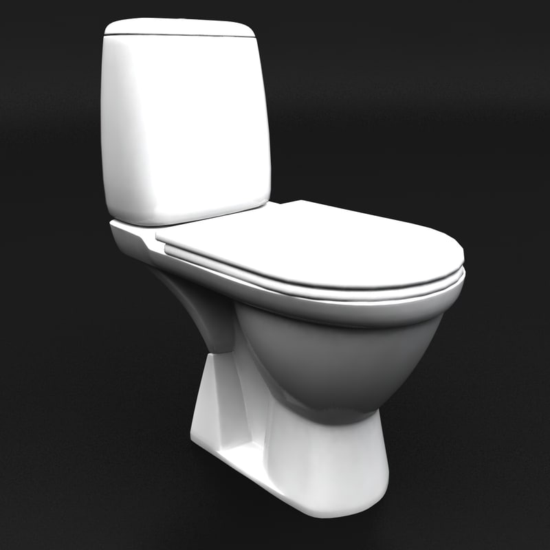 lavatory seat