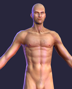 3dsmax naked human male