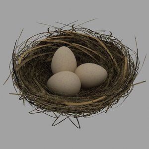 3d model of bird nest eggs