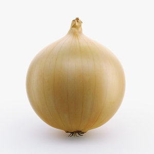 3d onion use model