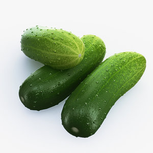 3ds max cucumber use