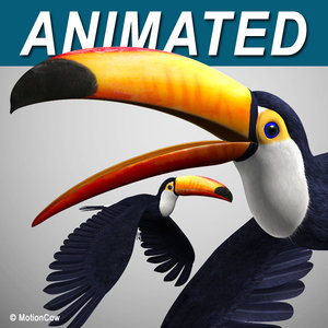 c4d realistic flying toucan