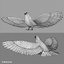 3ds max realistic flying dove
