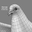 3ds max realistic flying dove