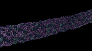 microtubules cell background particles 3d max