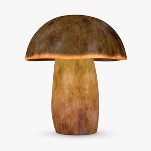 3ds max mushroom boletus erythropus