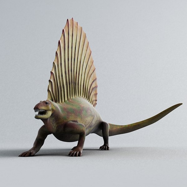 エダフォサウルス3Dモデル TurboSquid 612408