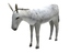 3d model donkey animal horse