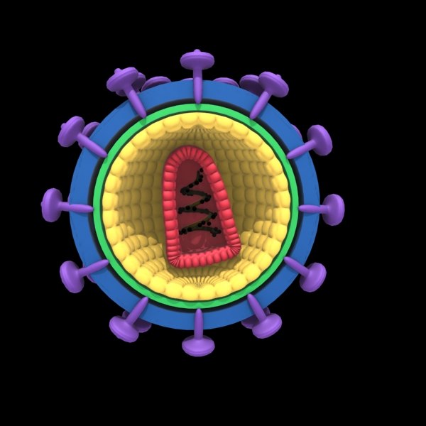 Фото вич вируса под микроскопом