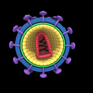 3ds max vih virus structure