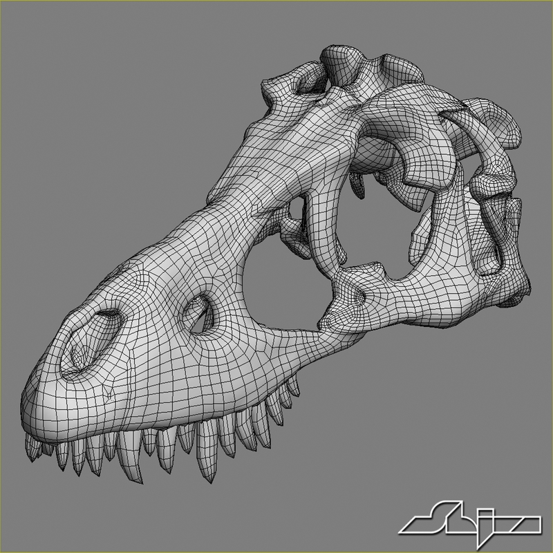 dino skull