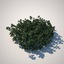 3d model of plant cover ground