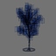 birch tree pl 3d model