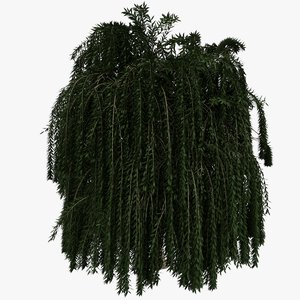 weeping willow tree 3d model