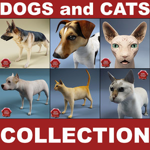 dogs cats 3d model