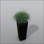 3d ornamental grass