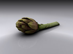 3d model artichoke