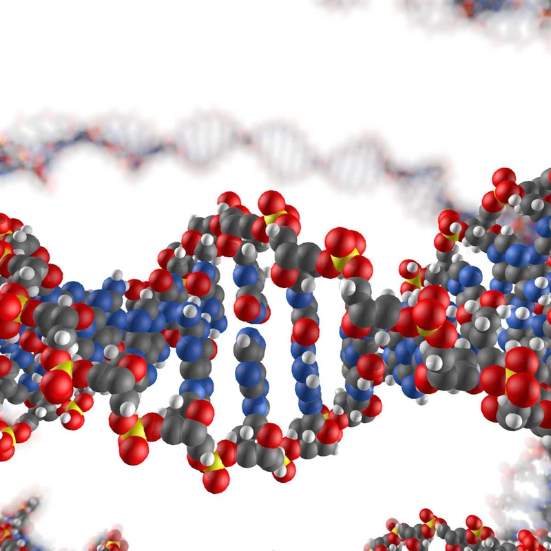 dna adenine c4d