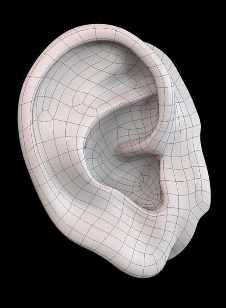 3ds max realistically human ear