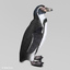 penguin humboldt max