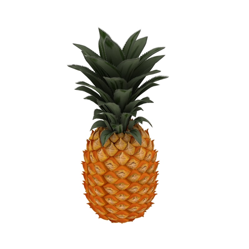 3d pineapple ananas tropical model