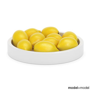 lemons ceramic bowl max