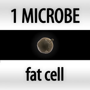 3ds max microbes bacteria cells