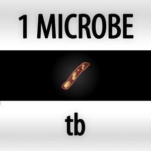 microbes micro organisms 3d model